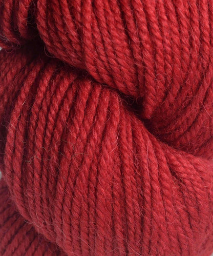 4234 Cardinal