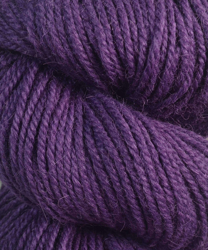42105 Eggplant