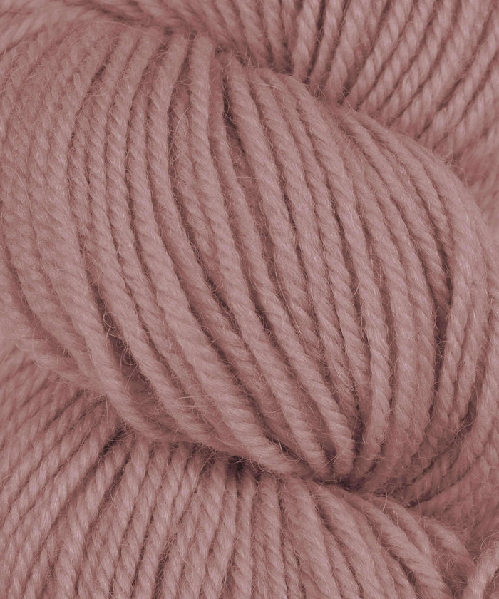 42114 Tea Rose
