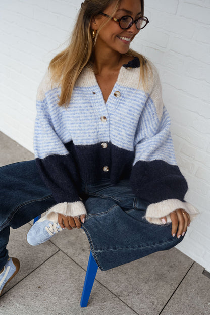 Blue Amren Cardigan
