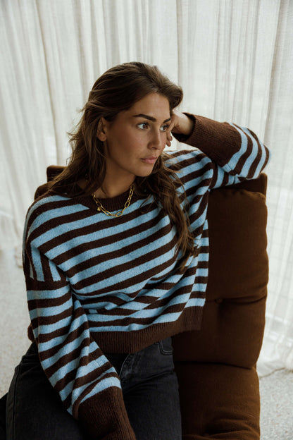 Brown and Blue Emilie Sweater