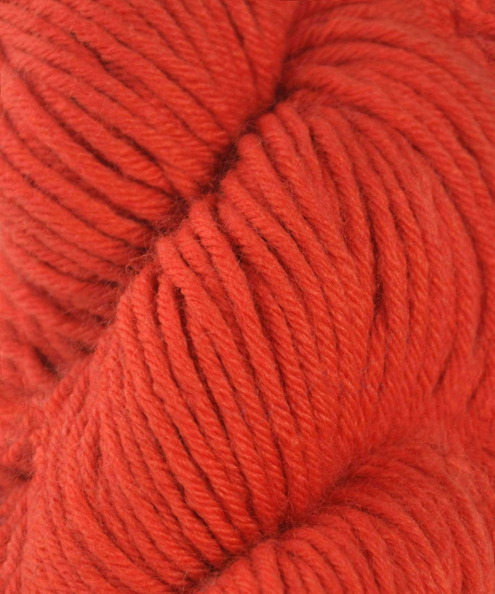 016  Gypsy Red