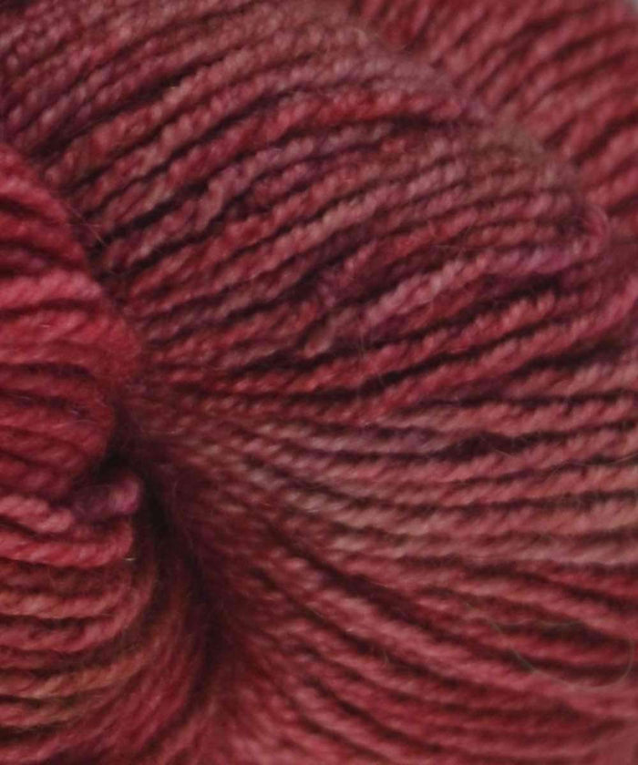 057 English Rose