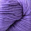 1151 Forget Me Not